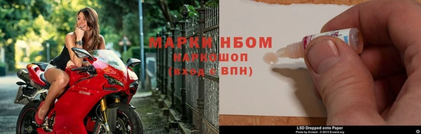 крисы Алзамай