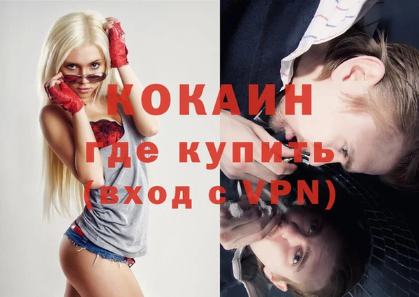 крисы Алзамай