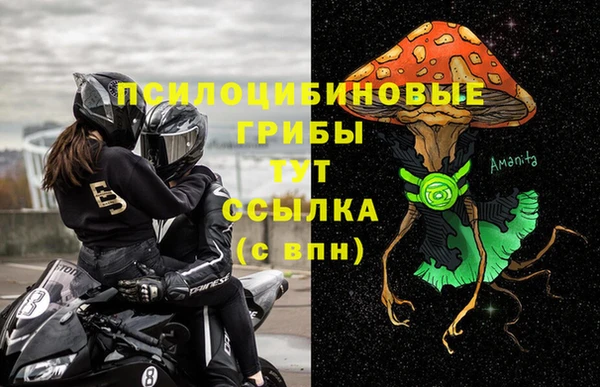 синтетический гашиш Алексеевка