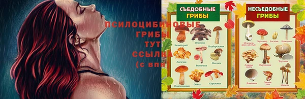 крисы Алзамай