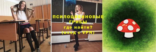 синтетический гашиш Алексеевка