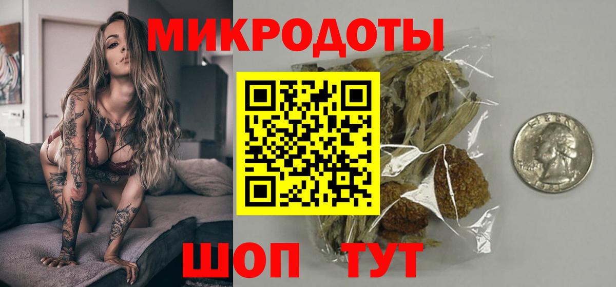 Галлюциногенные грибы Cubensis  Вход с VPN  Кулебаки 